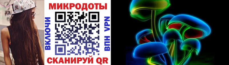Псилоцибиновые грибы Psilocybine cubensis  Невельск 